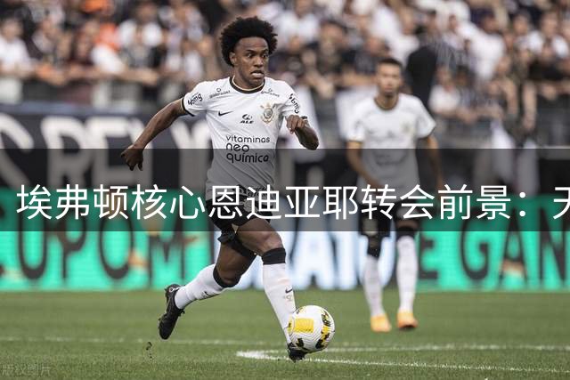 埃弗顿核心恩迪亚耶转会前景：天价报价是唯一离队可能